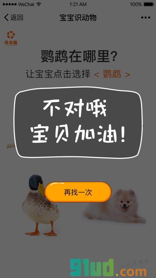 宝宝识动物益智早教识图认知大全小程序截图