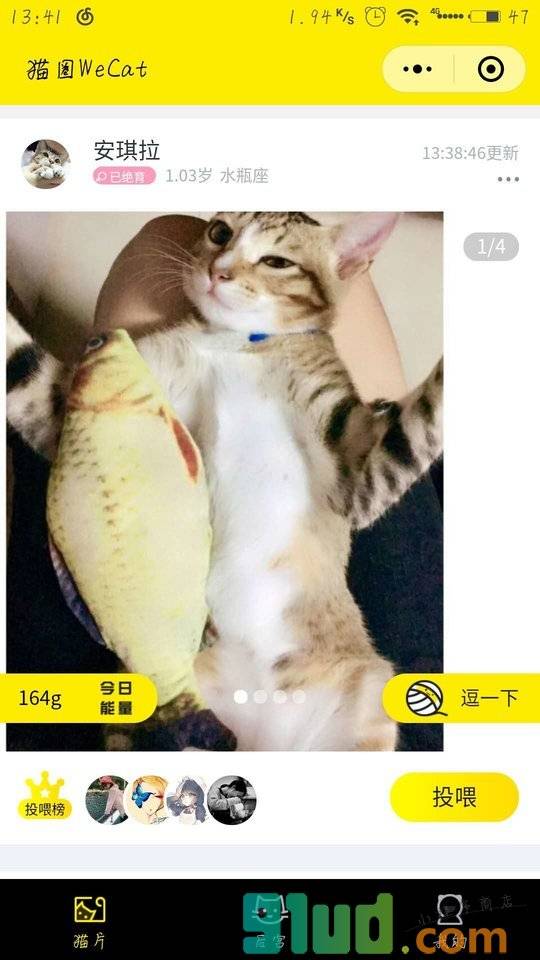 猫圈WeCat小程序截图