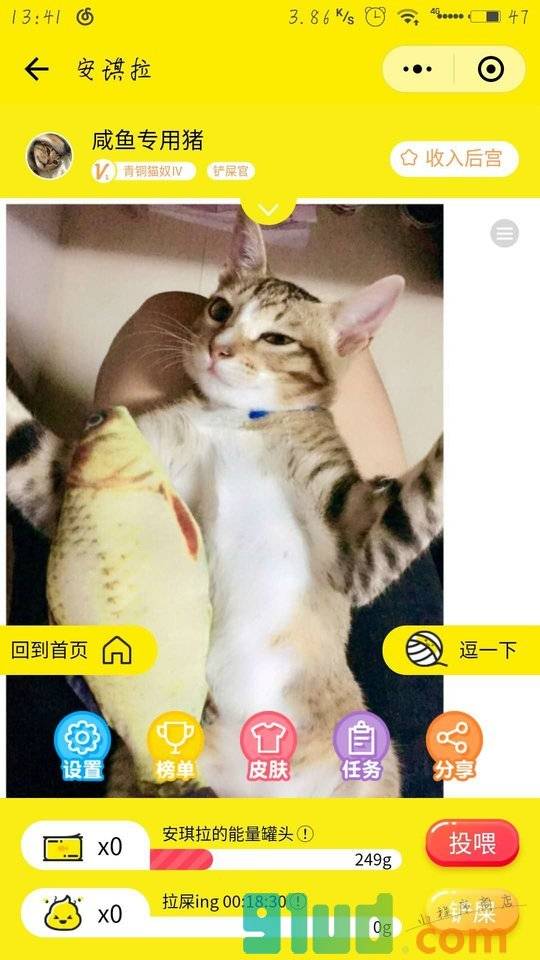猫圈WeCat小程序截图