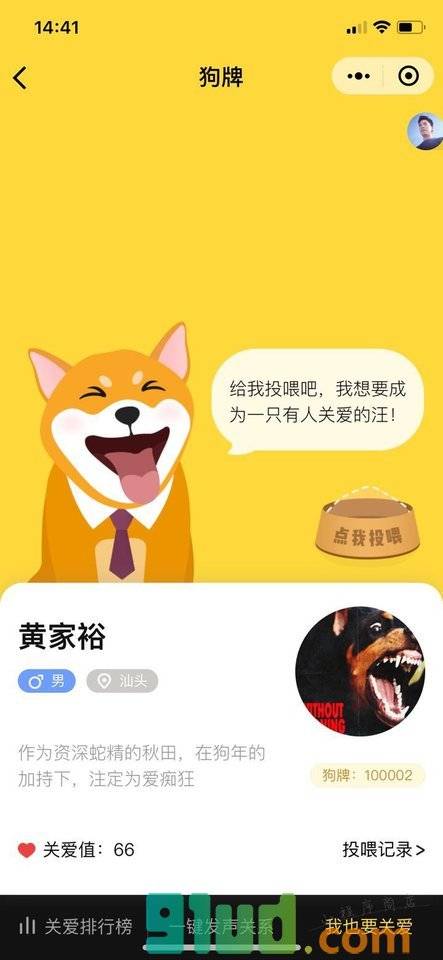 狗牌DogeCard小程序截图