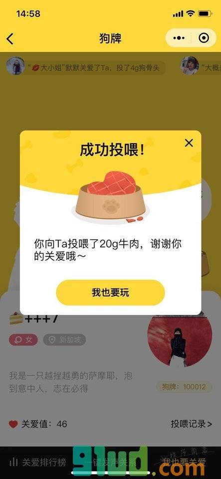 狗牌DogeCard小程序截图