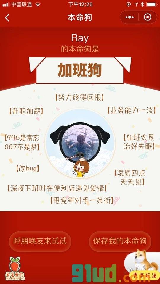 测测你的本命狗小程序截图