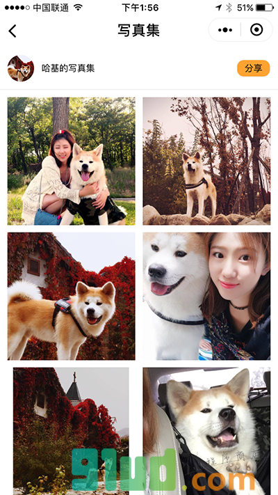 狗卡PuppyCard小程序截图
