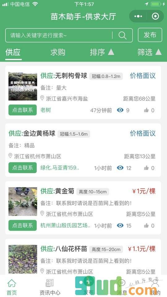 苗木助手小程序截图