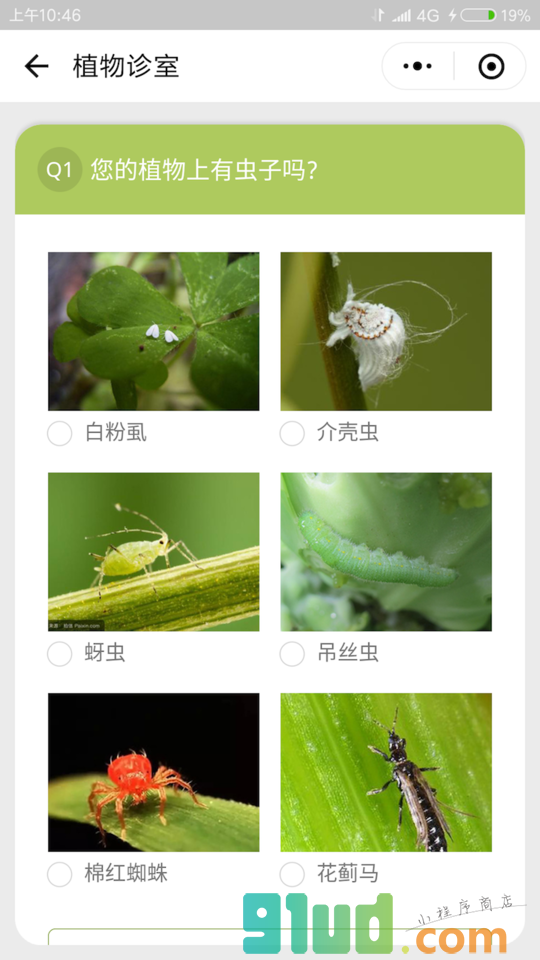 植物诊室小程序截图