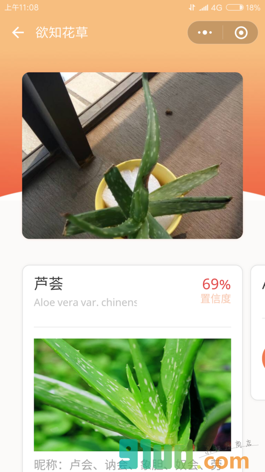 欲知花草小程序截图