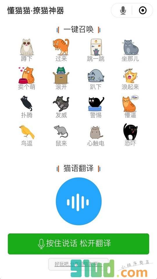 懂猫猫小程序截图