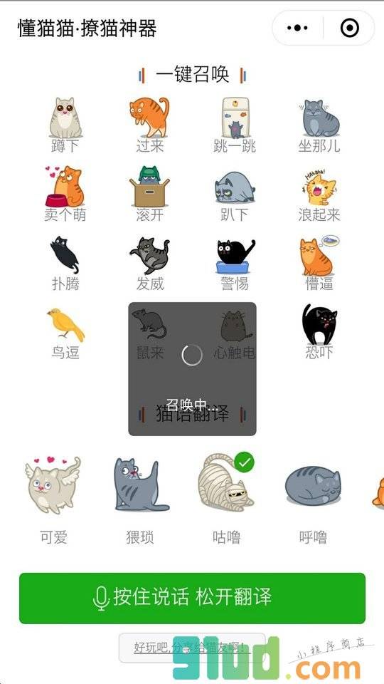 懂猫猫小程序截图