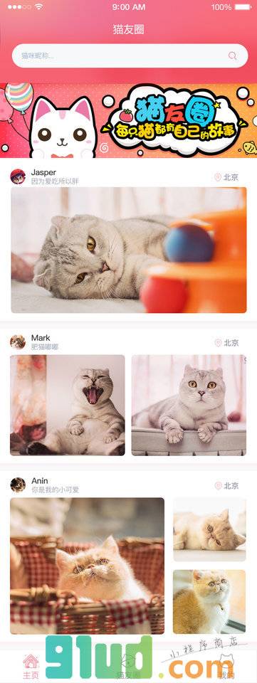猫友圈Meow小程序截图