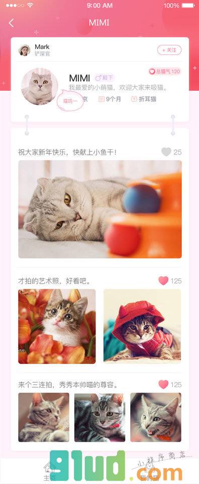 猫友圈Meow小程序截图