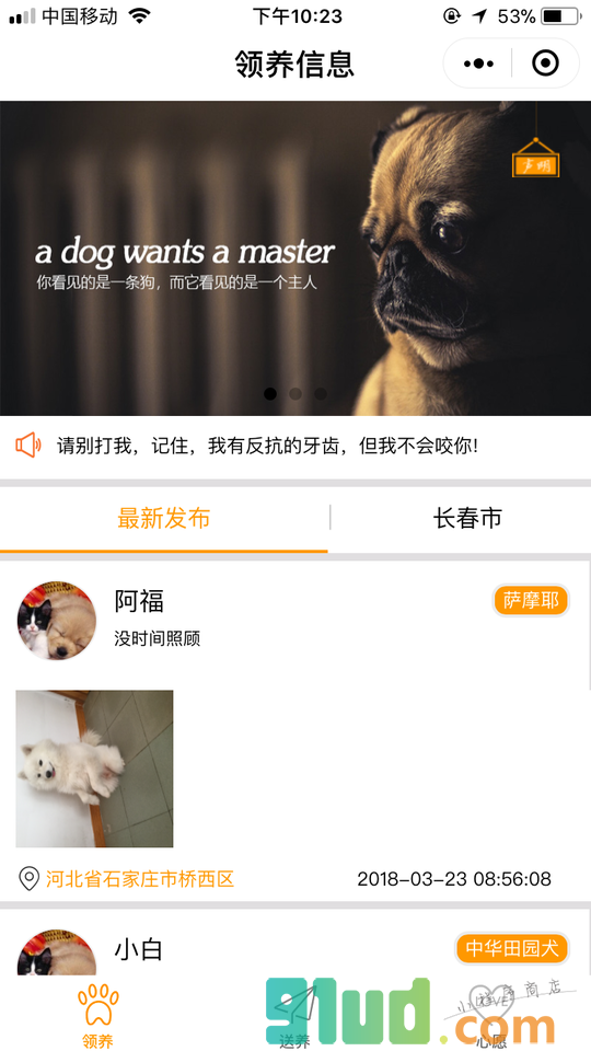 宠物领养送养小程序截图