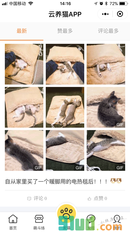 云养猫APP小程序截图