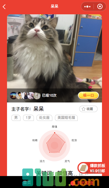 你的猫有多萌小程序截图