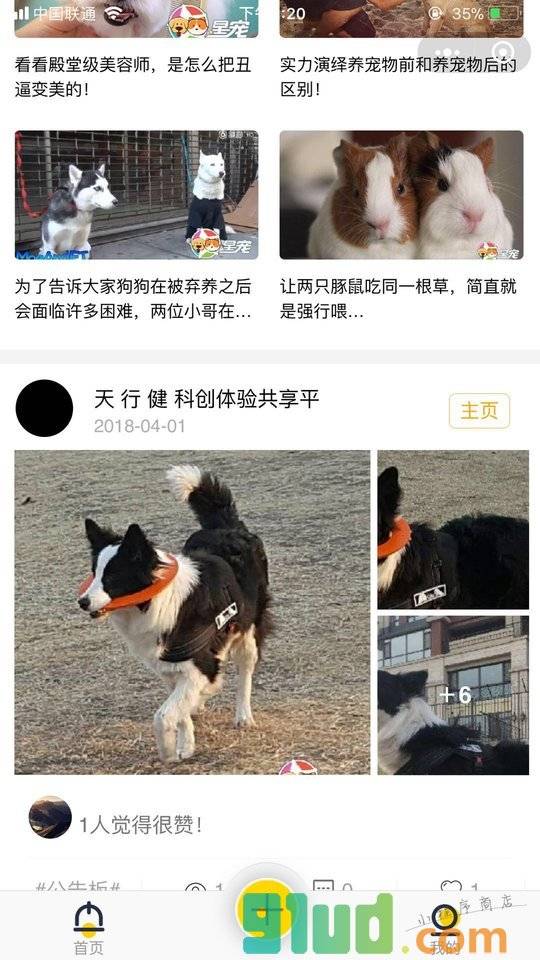 星宠小程序截图