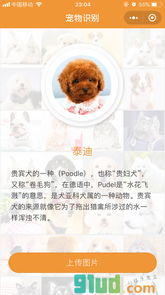 品种识别小程序截图