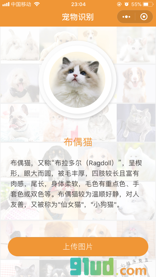 品种识别小程序截图