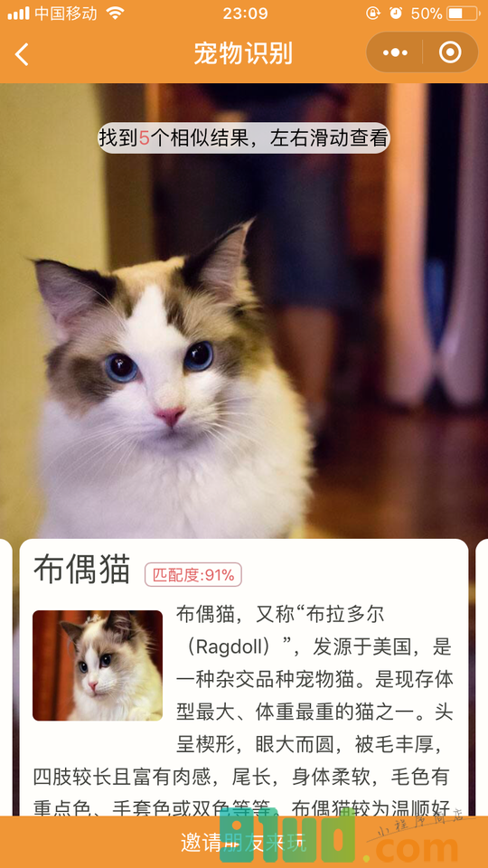 品种识别小程序截图