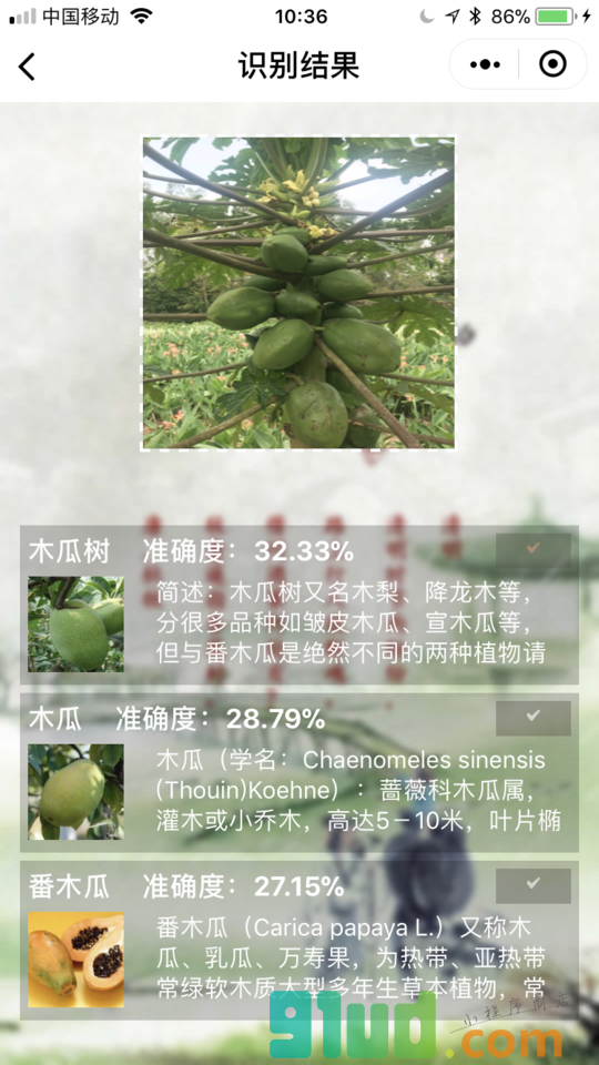 知花草小程序截图