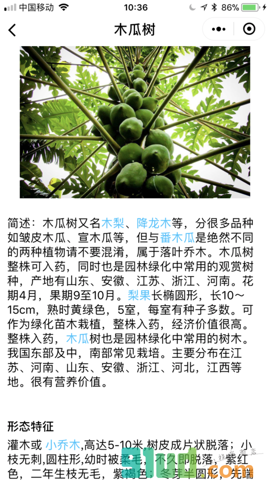 知花草小程序截图