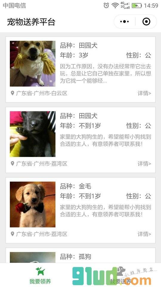 宠物送养平台小程序截图