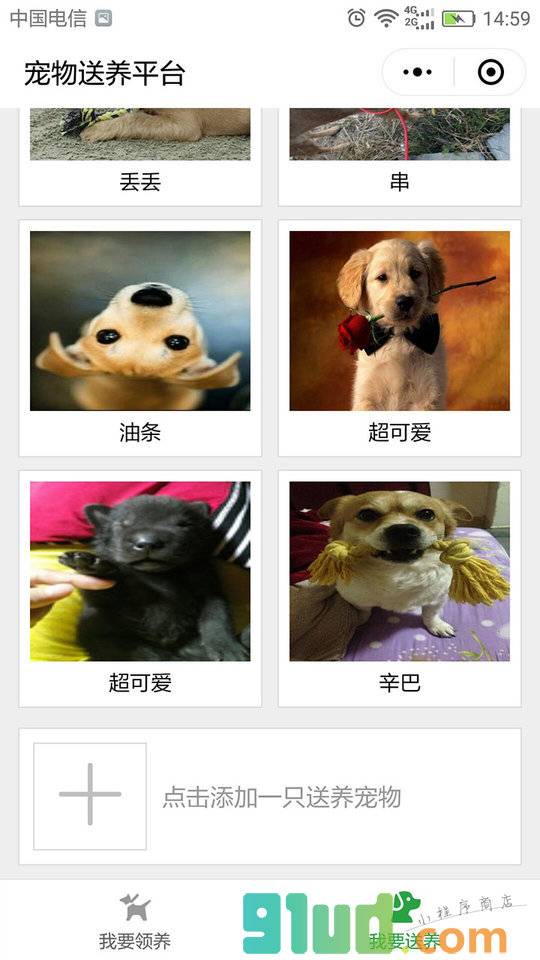 宠物送养平台小程序截图
