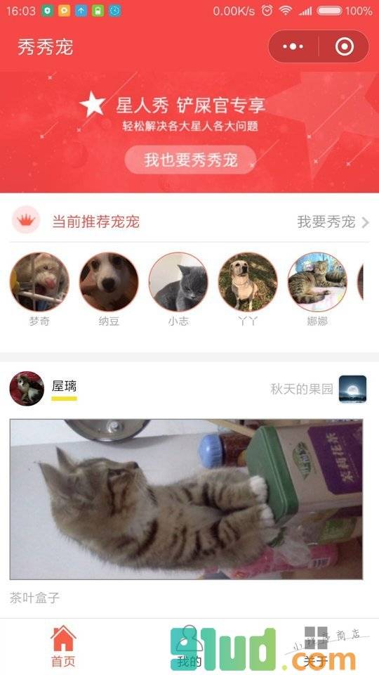 秀秀宠小程序截图