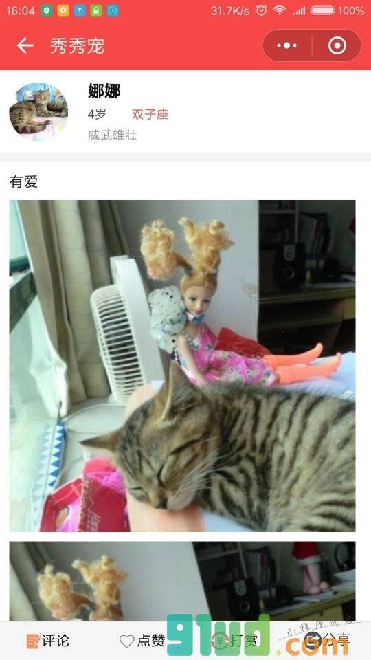 秀秀宠小程序截图