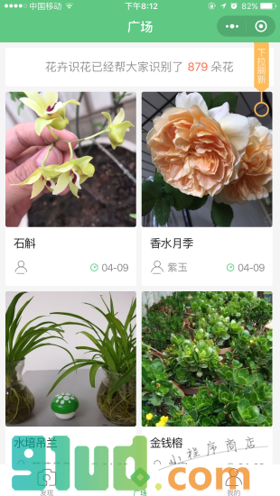 花卉识花小程序截图