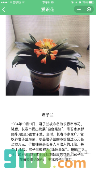 花卉识花小程序截图