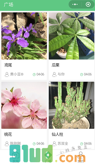 识花小能手小程序截图