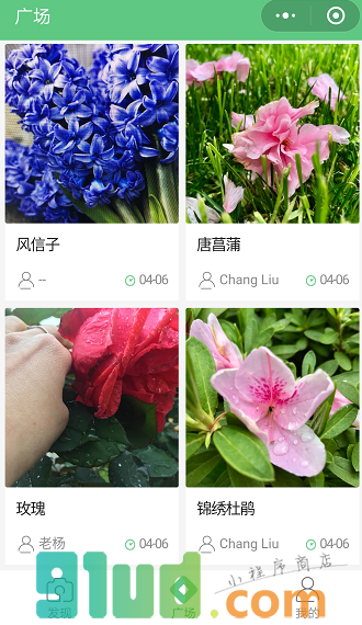 识花小能手小程序截图