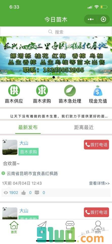 今日苗木小程序截图