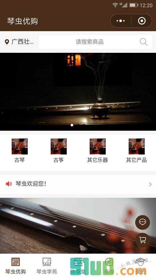 琴虫小程序截图