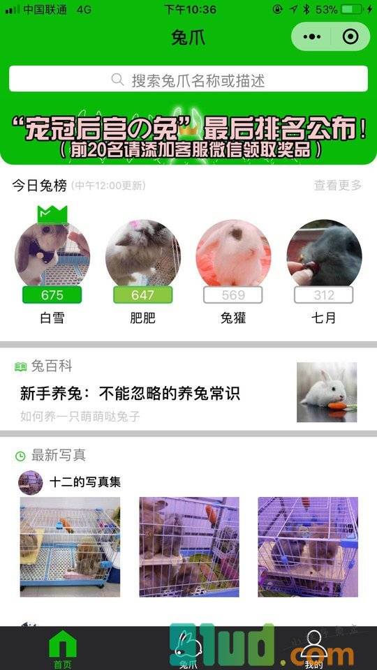 兔爪rabbitfoot小程序截图