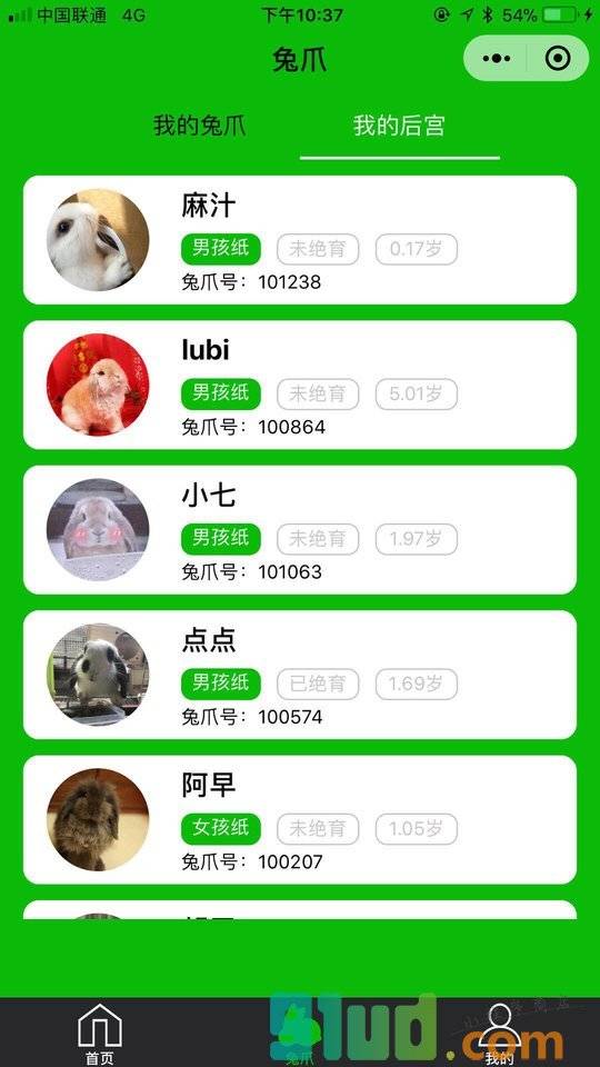 兔爪rabbitfoot小程序截图