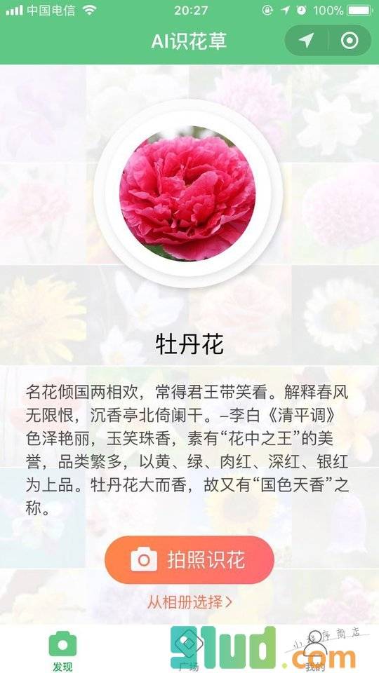 AI识花草小程序截图