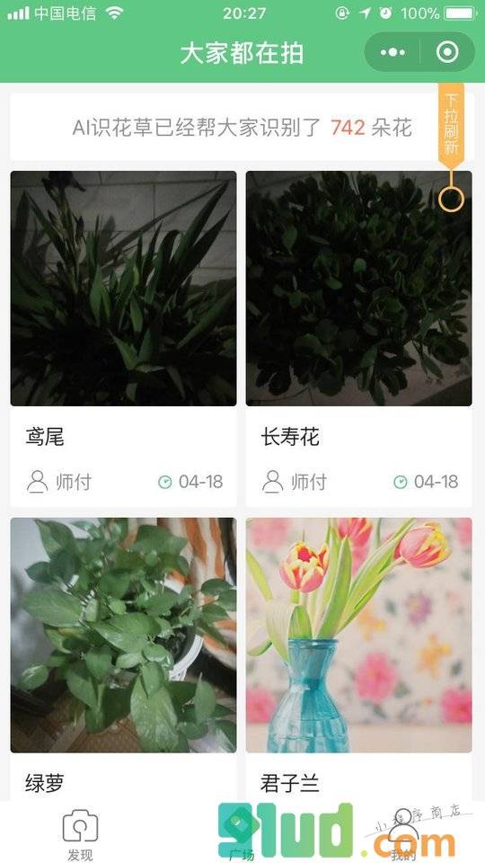 AI识花草小程序截图