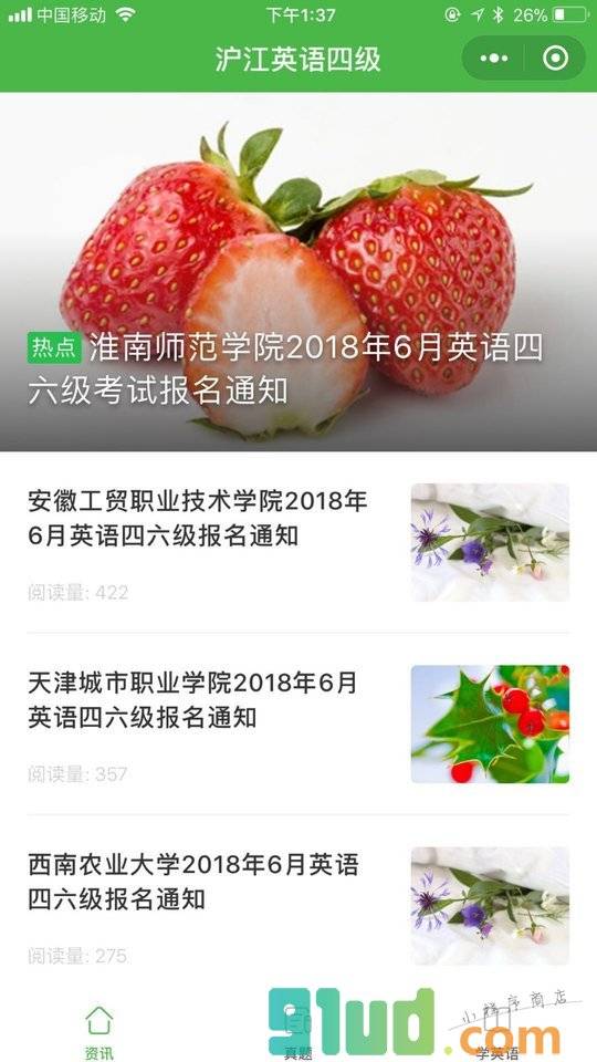 英语四级真题答案小程序截图