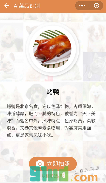 识别百科小程序截图