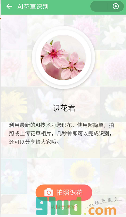 识别百科小程序截图