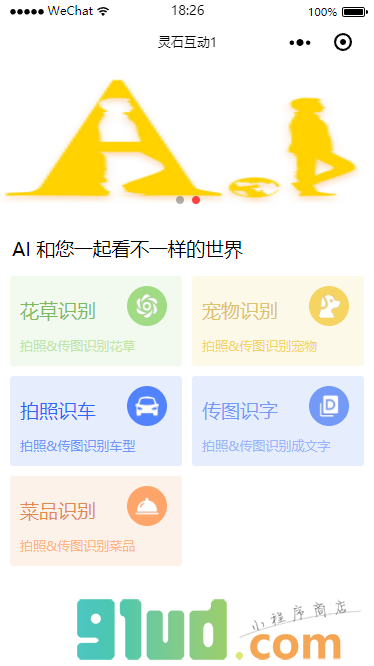 AI识别大全小程序截图