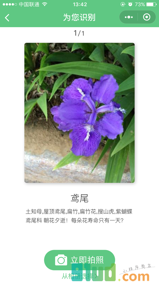 AI识花小程序截图