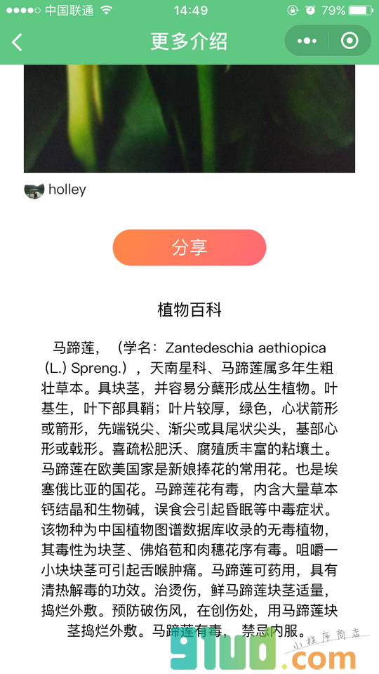 AI识花小程序截图