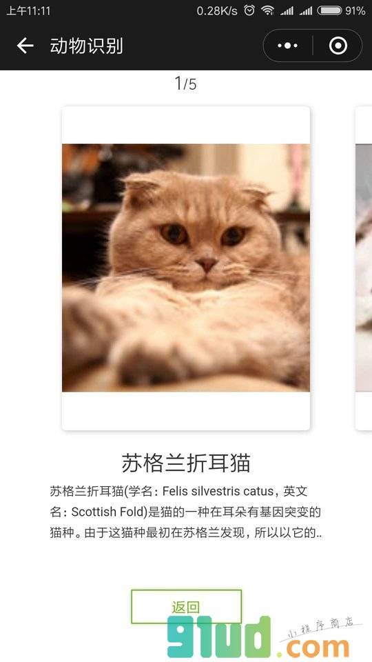 文字提取小程序截图