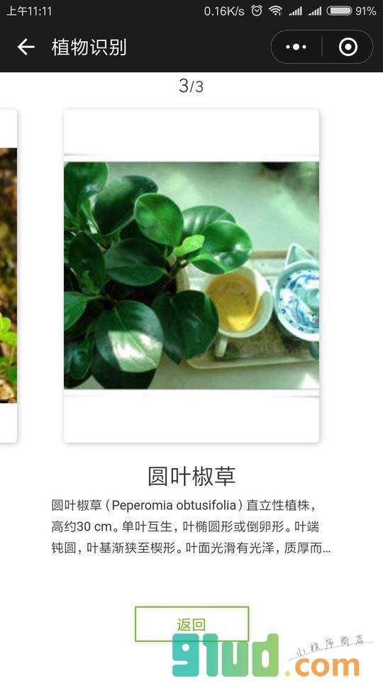 文字提取小程序截图