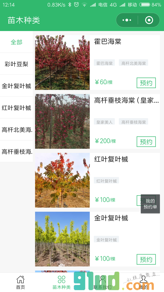 彩叶豆梨金叶复叶槭皇家美人海棠小程序截图