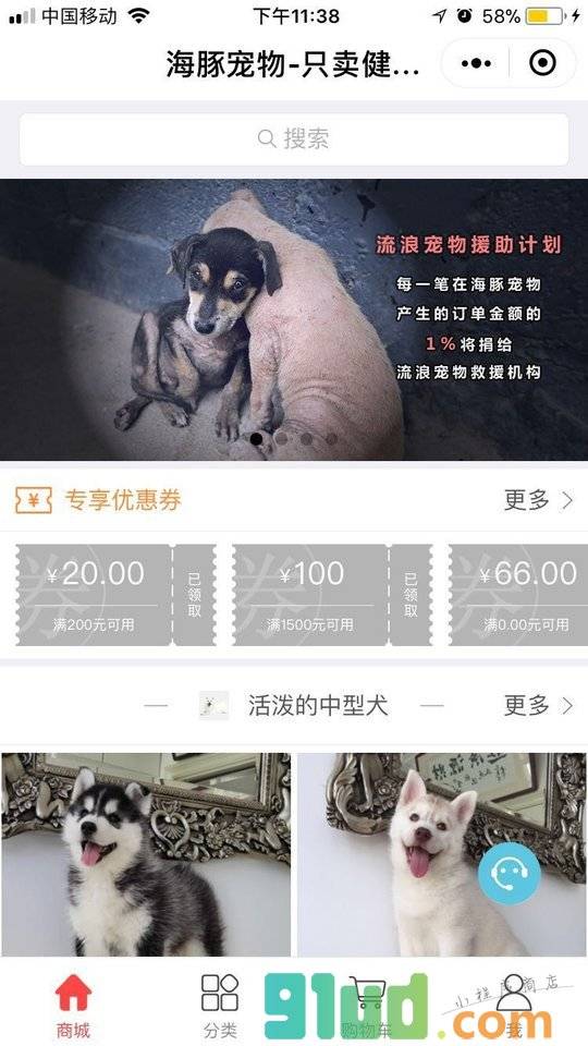 海豚宠物小程序截图