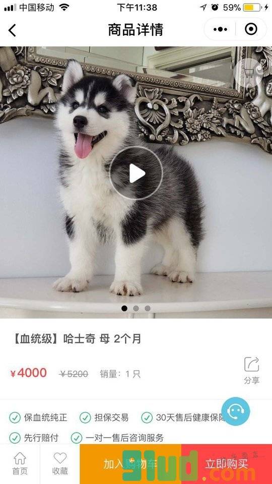 海豚宠物小程序截图