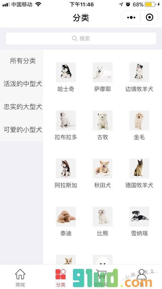 海豚宠物小程序截图