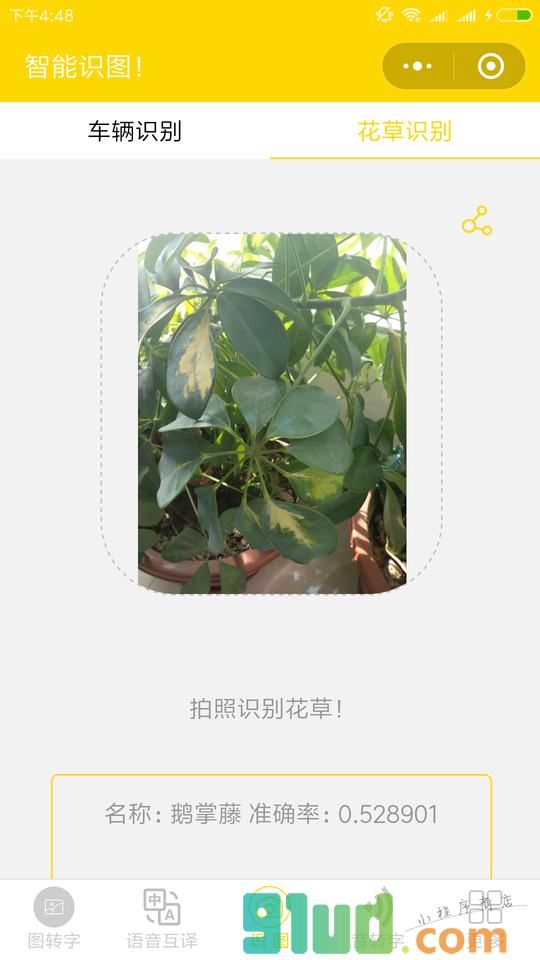 神识别小程序截图